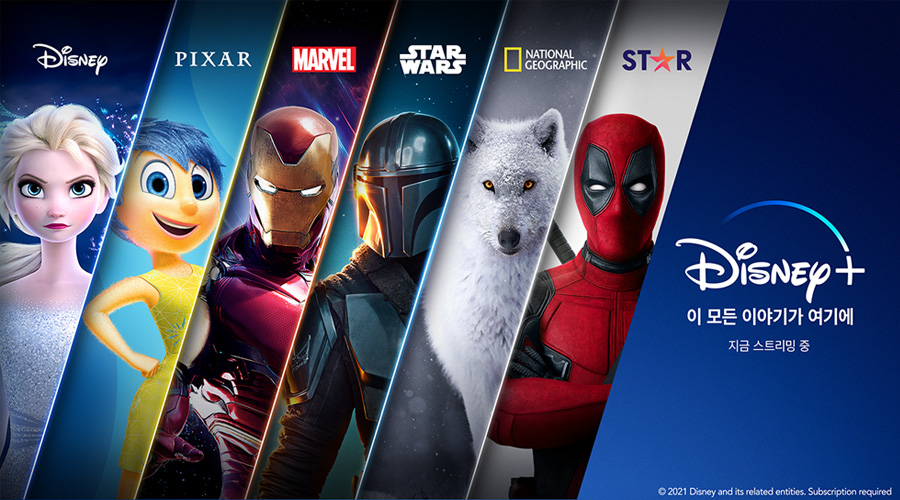 disney plus 배너